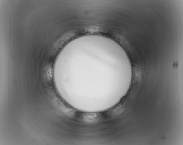 X0000112040479200908241607