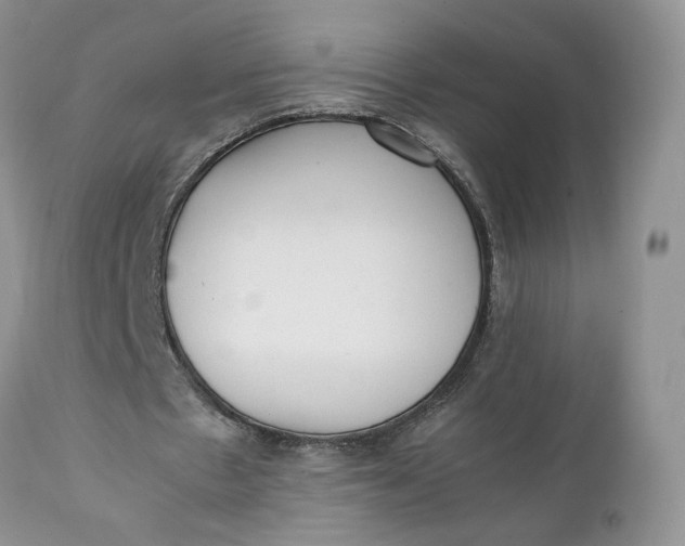 X0000112040481200908241606