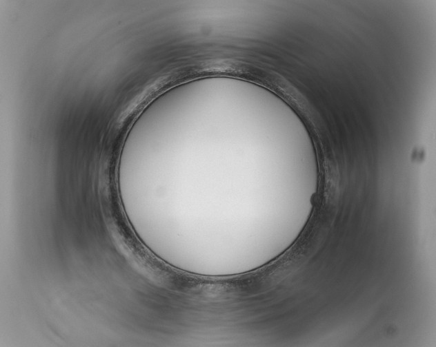 X0000112040482200908241606