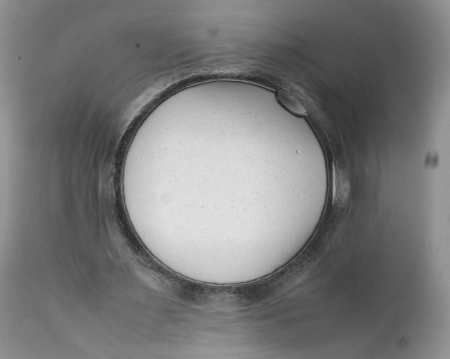 X0000112040483200908241606