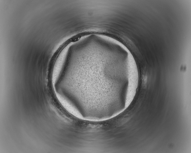 X0000112040484200908241606