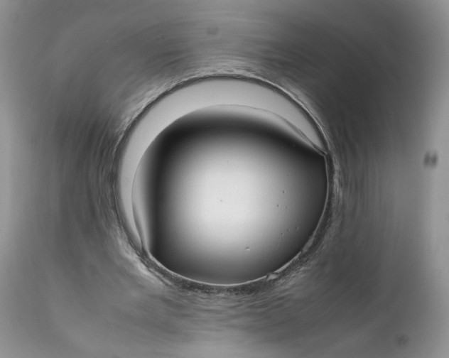 X0000112040485200908241606