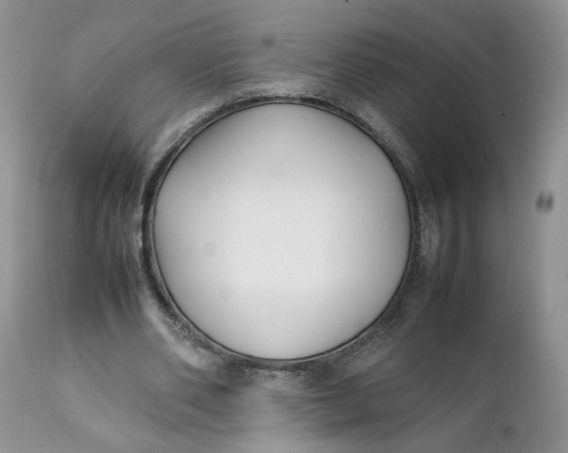 X0000112040486200908241606