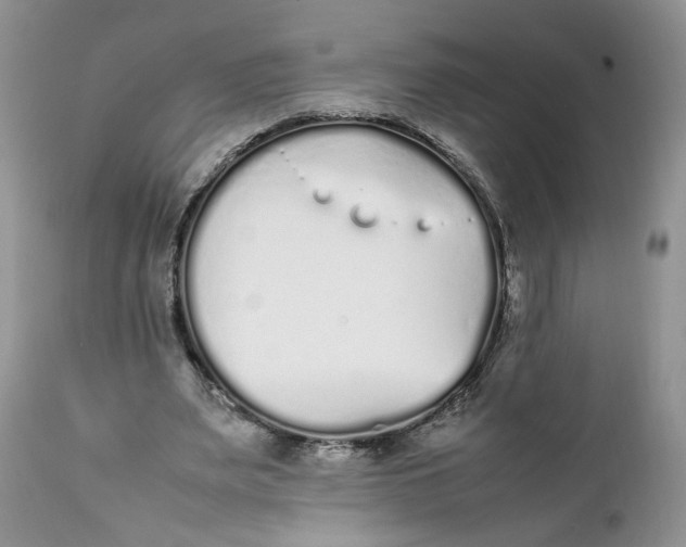 X0000112040487200908241606