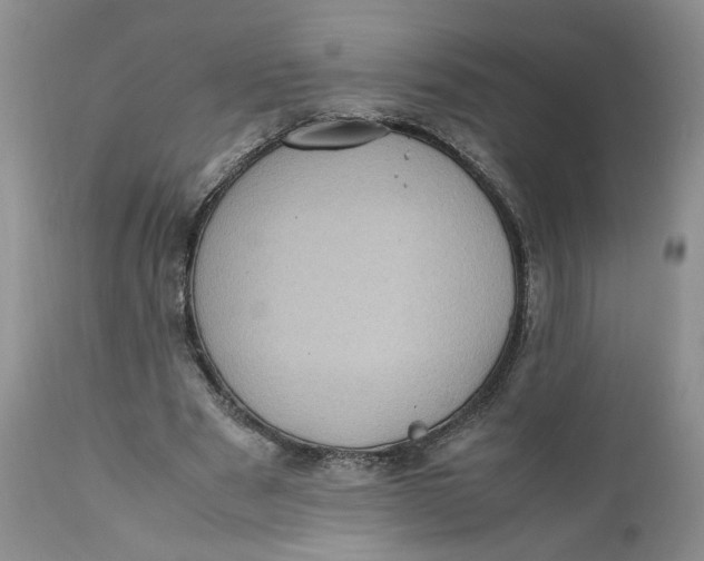 X0000112040489200908241606