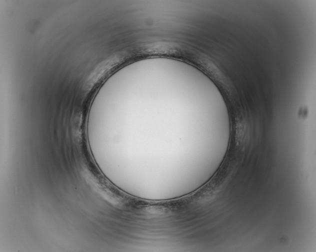 X0000112040490200908241606