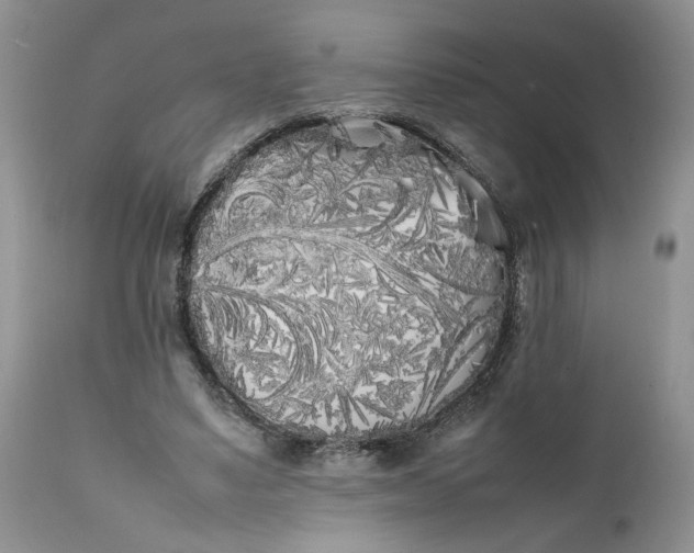 X0000112040491200908241606