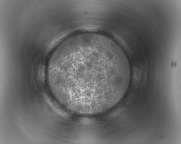 X0000112040494200908241606