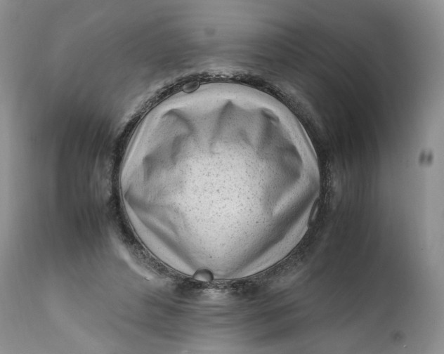 X0000112040496200908241606