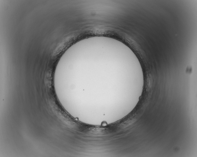 X0000112040497200908241606