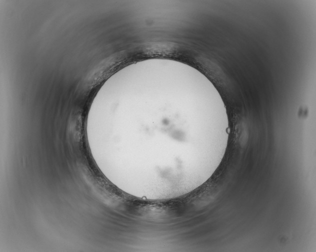 X0000112040498200908241606