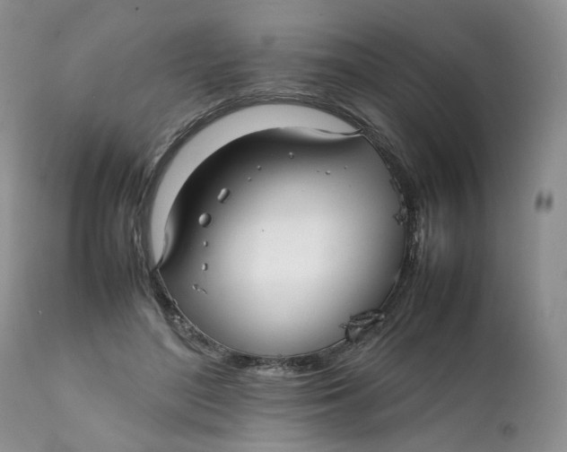 X0000112040500200908241606