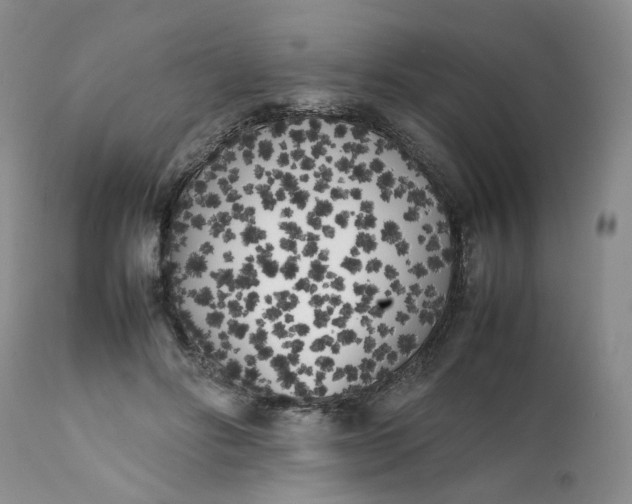 X0000112040502200908241606