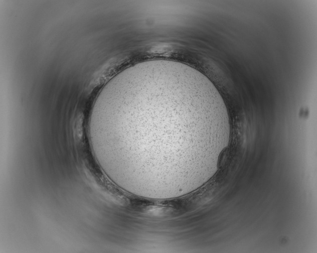 X0000112040504200908241606
