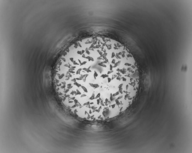 X0000112040506200908241606