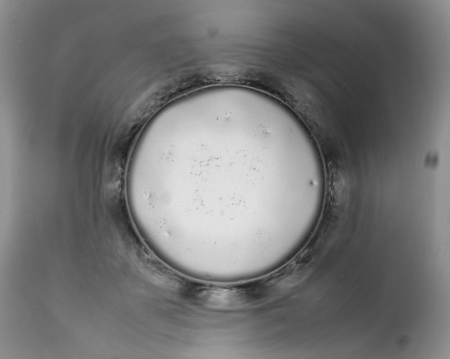 X0000112040507200908241606