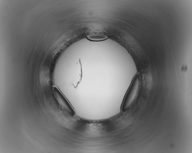X0000112040508200908241606
