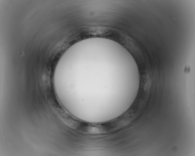 X0000112040510200908241606