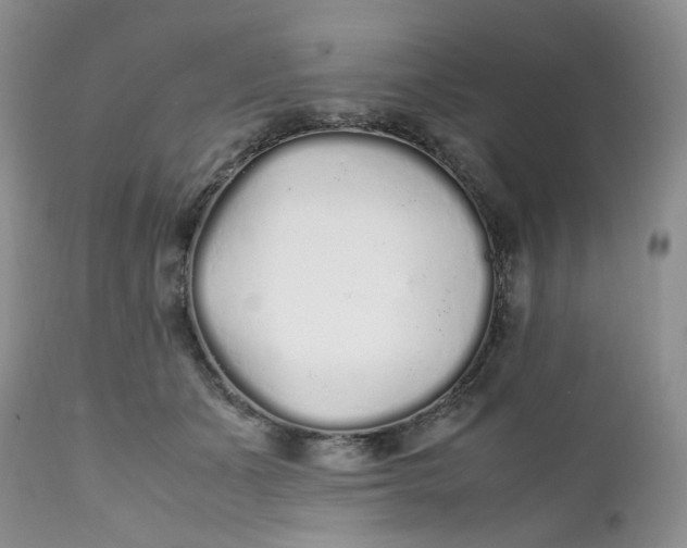 X0000112040511200908241606