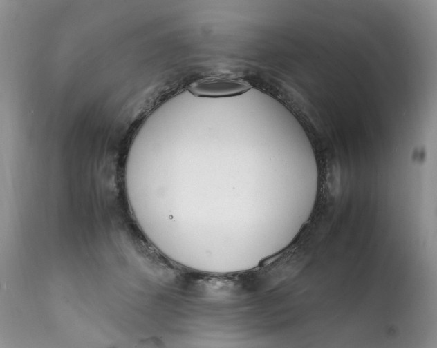 X0000112040512200908241606