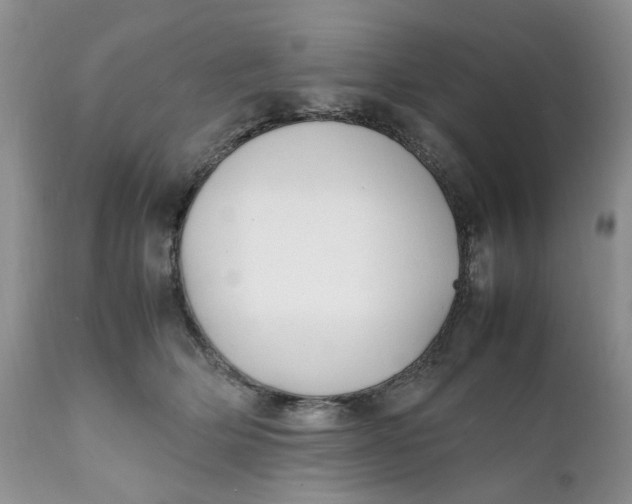 X0000112040514200908241605