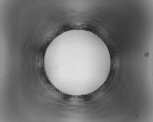 X0000112040515200908241605