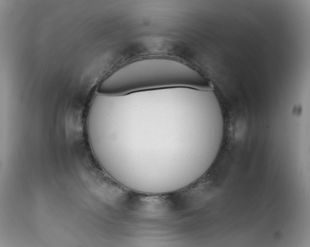 X0000112040516200908241605