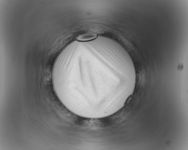 X0000112040517200908241605