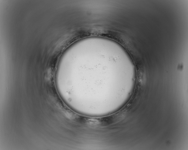 X0000112040519200908241605