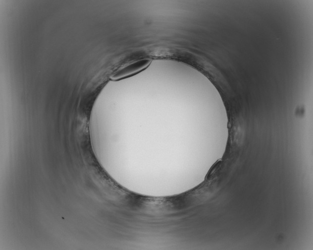 X0000112040521200908241605