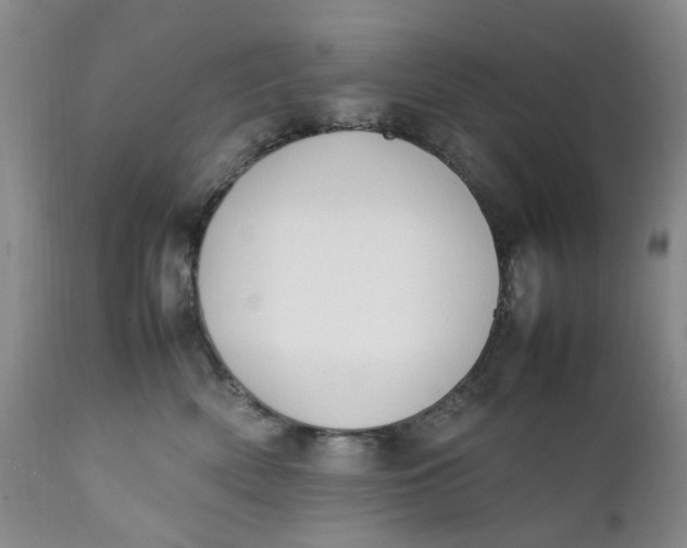 X0000112040522200908241605