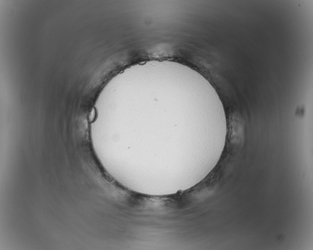 X0000112040523200908241605