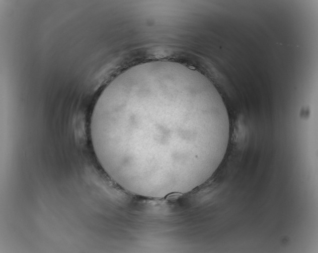 X0000112040524200908241605