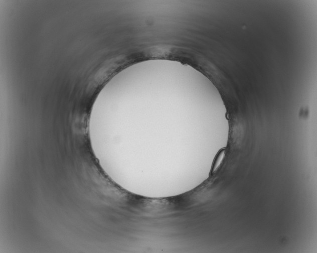 X0000112040525200908241605
