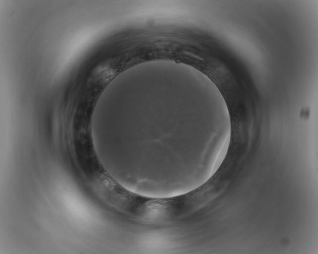 X0000112040526200908241605