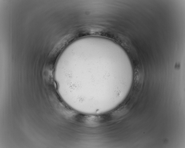 X0000112040527200908241605
