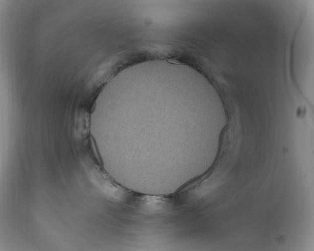 X0000112040528200908241605