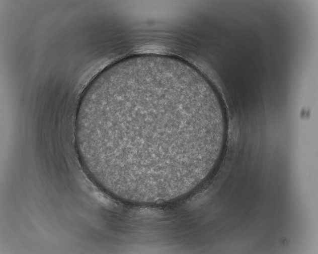 X0000112040529200908241605