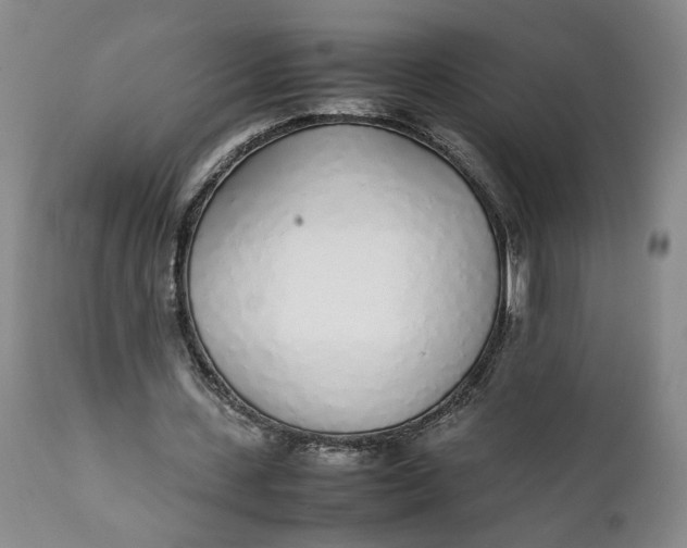 X0000112040531200908241605