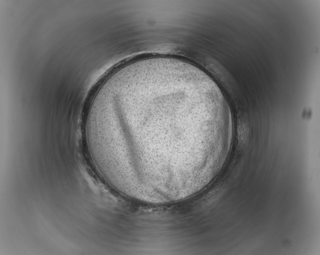 X0000112040532200908241605
