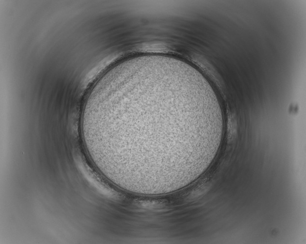 X0000112040533200908241605
