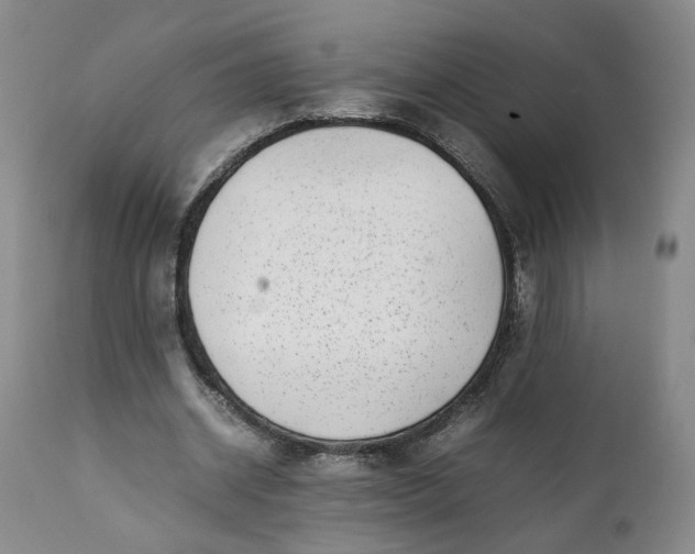 X0000112040534200908241605