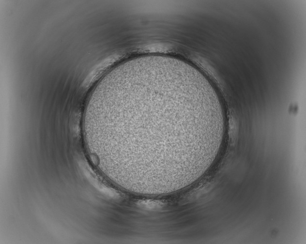 X0000112040537200908241605