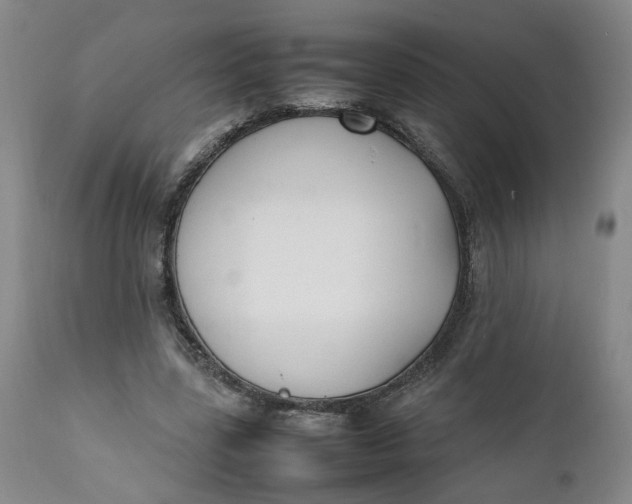 X0000112040539200908241605