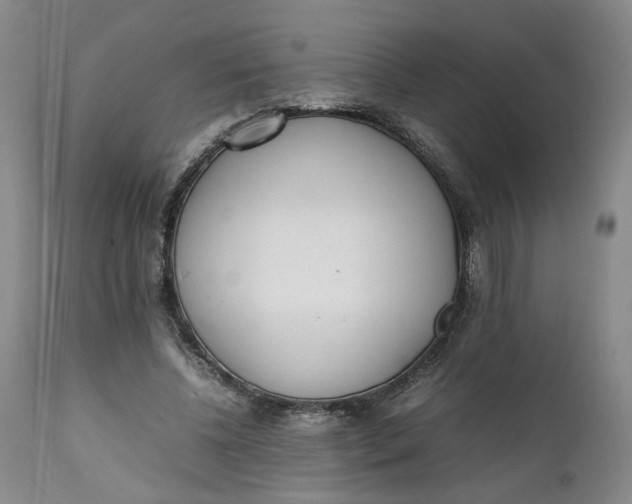 X0000112040540200908241605