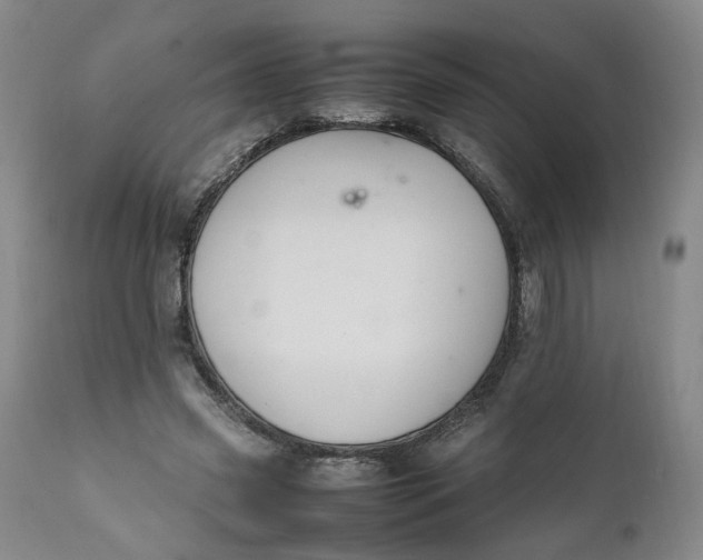X0000112040541200908241605