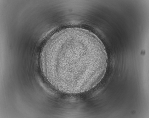 X0000112040542200908241605