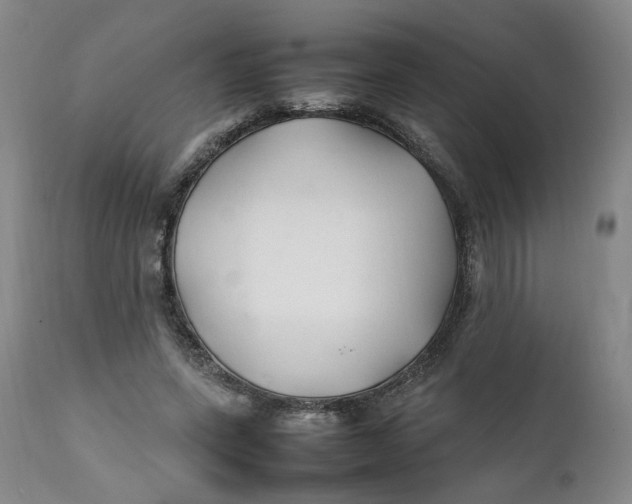 X0000112040543200908241605
