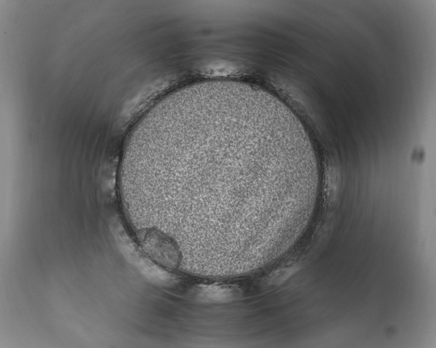 X0000112040545200908241605
