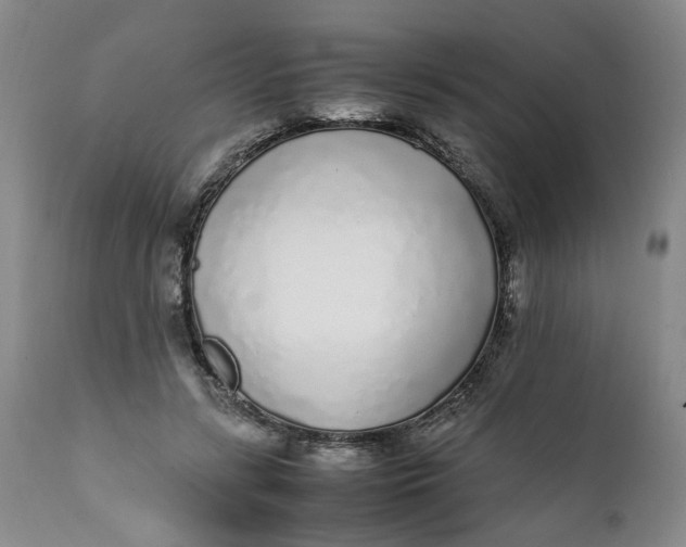 X0000112040547200908241605